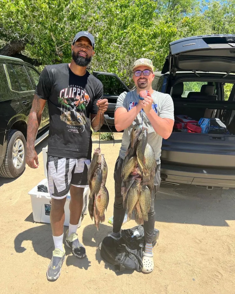 去的案例中 去的案例中