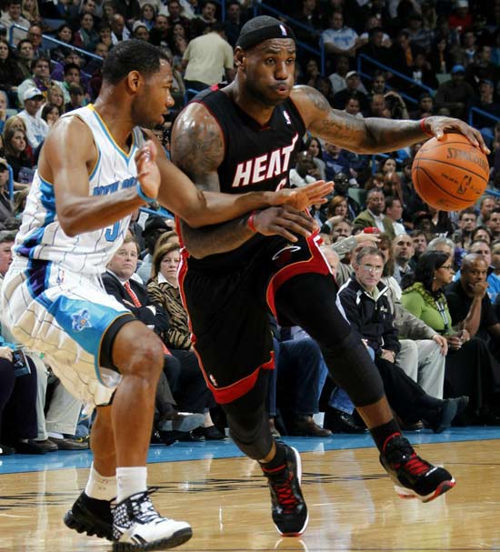 己的领域中 己的领域中