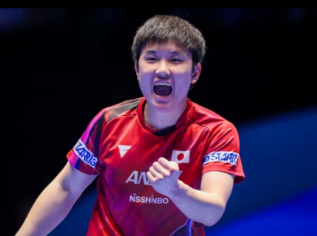 我可以帮你 我可以帮你